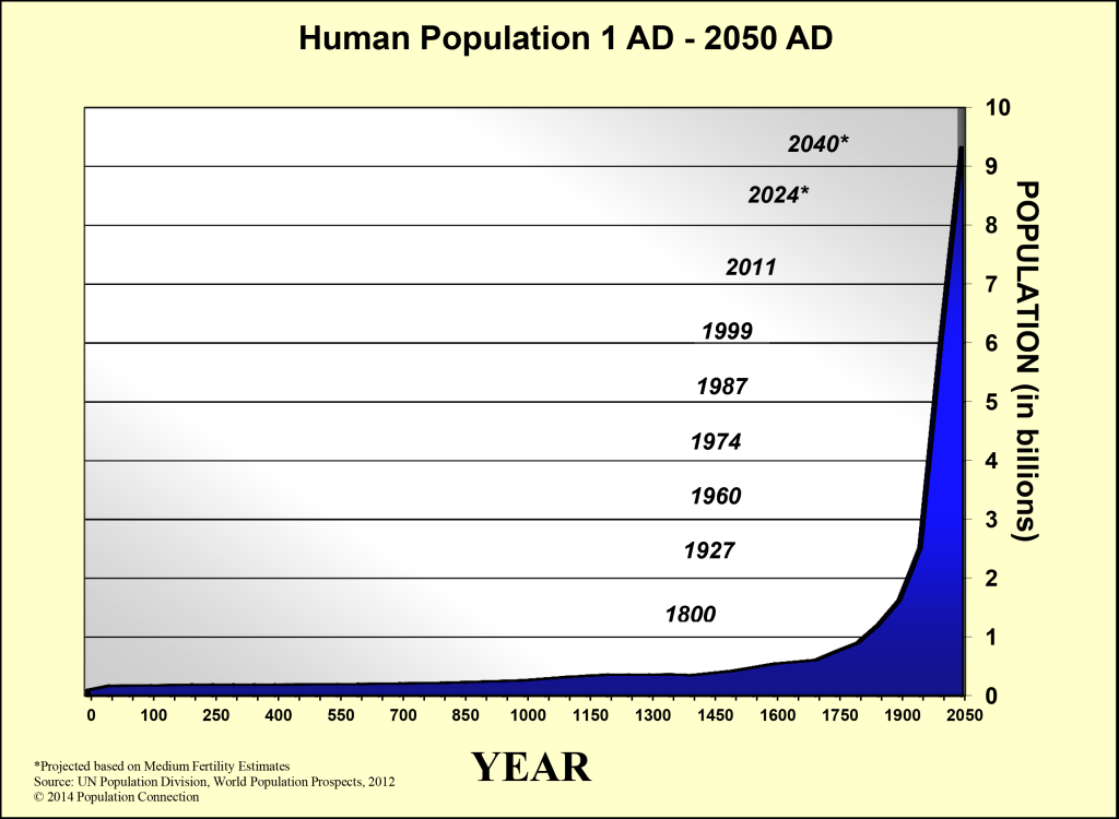 human population over time